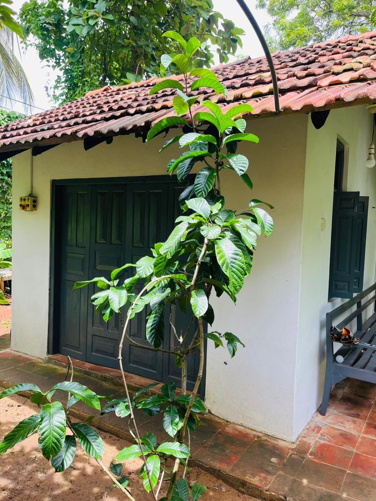 Agora Villa By Esperanza Tangalle Esterno foto